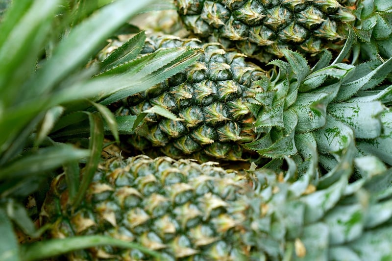 Organic Solutions