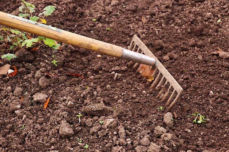 Community Gardening